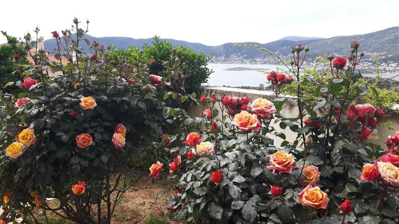 Georgia'S Holiday Apartment With Amazing Sea View Porto Rafti Bagian luar foto